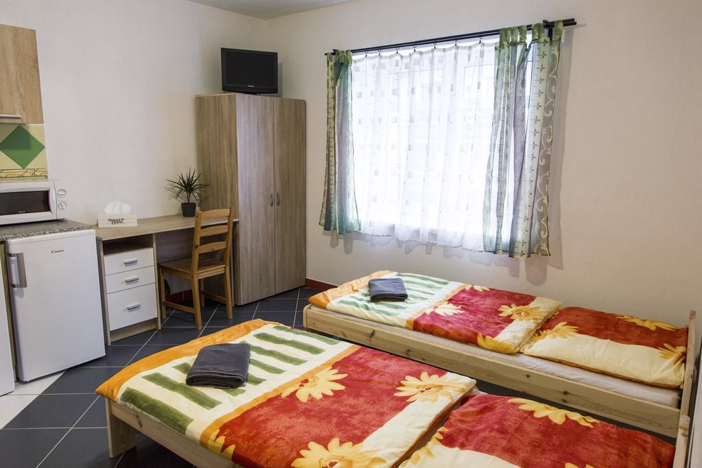 Penzion 43 Bor Экстерьер фото