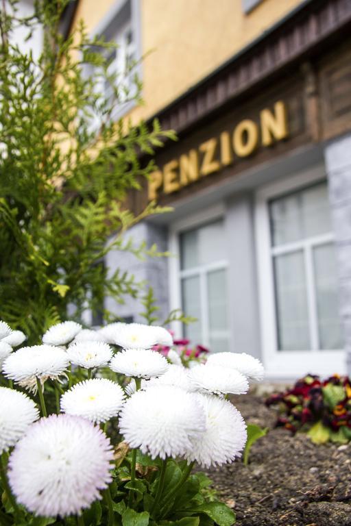 Penzion 43 Bor Экстерьер фото