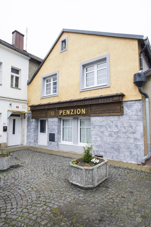 Penzion 43 Bor Экстерьер фото